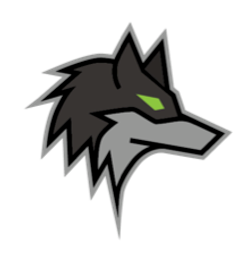 Dark Wolf Solutions logo
