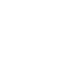 SteerBridge Strategies logo