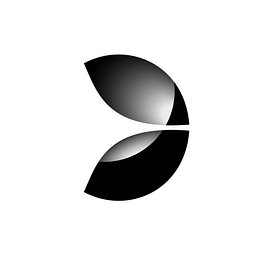 Evolution Group logo