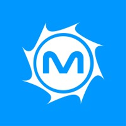 MetroStar logo